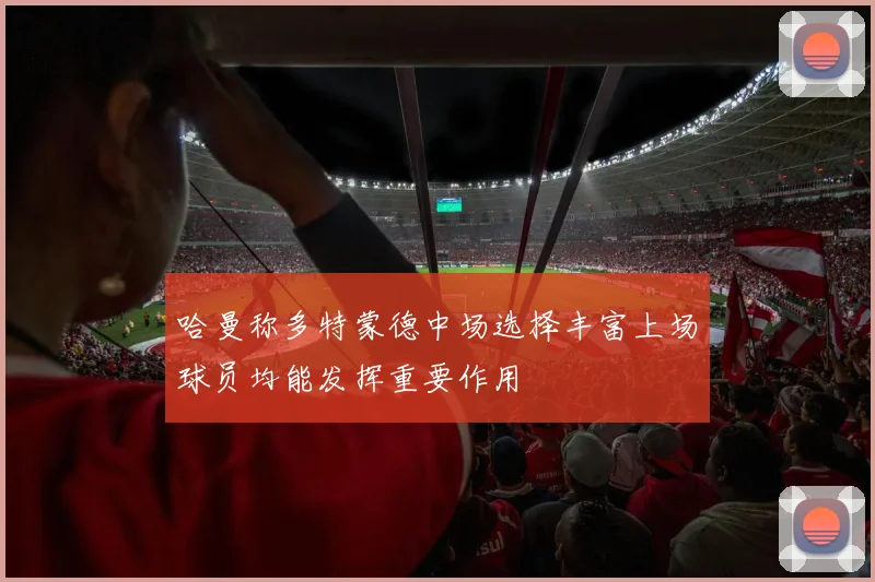 哈曼称多特蒙德中场选择丰富上场球员均能发挥重要作用