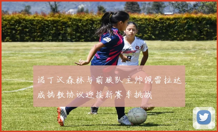 诺丁汉森林与前狼队主帅佩雷拉达成执教协议迎接新赛季挑战