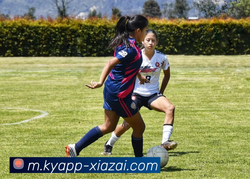 App Interface Preview