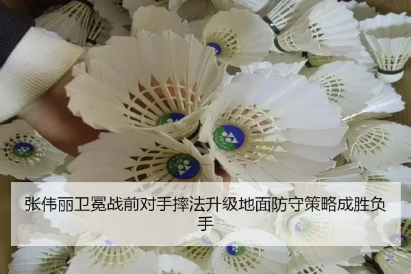 张伟丽卫冕战前对手摔法升级地面防守策略成胜负手 - kaiyun